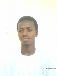 aliyu lawal (jibiya)