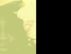Boogiebrown007 (Boogiebrown007)