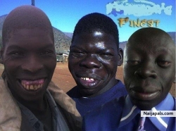 The finest