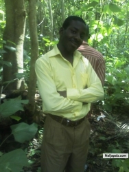 Forest Pics