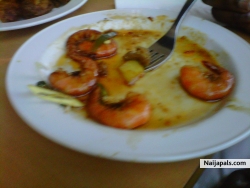 Food lovely food