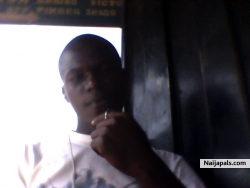 wad up pals