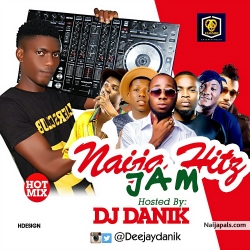 DJ Danik Naija Hitz Jamz Mixtape cover 