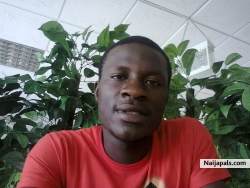 Nimi Bright Beggi