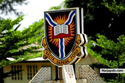 adekoya ui