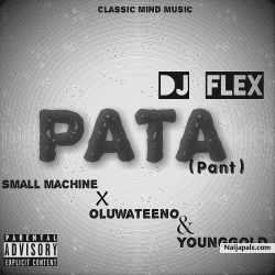 PATA(pant) by Dj flex ft Small machine x Oluwateeno & YoungGold