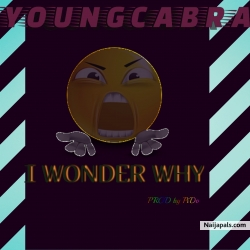 I wonder why by YOUNGCABRA