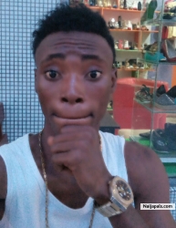 TripleHay Dah Beat Cooker (triplebeat)