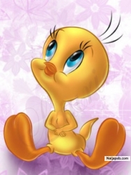aeesha muhd