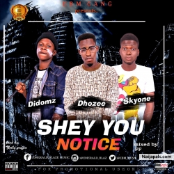 SHEY YOU NOTICE {Prod. By NOLLY GRIFFIN} by E.B.M FT DIDOMZ X DHOZEE X SKYONE