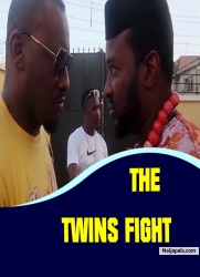 THE TWINS FIGHT