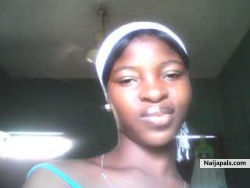 damipe toy