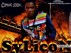sylvester (sylicon)