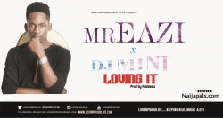 Djmini17