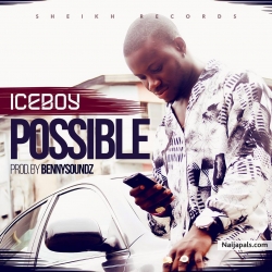 Possible by Ice boy