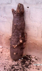 uduefe eweneya (uduefe)