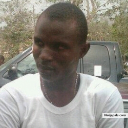 ibrahim (ibropapa)