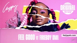 Feel Good by Cuppy ft. Fireboy DML