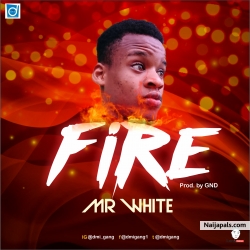 [Music] Mr white - Fire by Mr white
