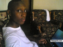 BOBO
