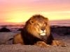 Strong,Bold & Determined---my personality