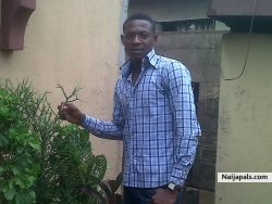 Using the flowers