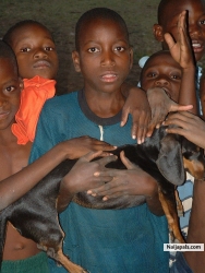 everybody wanted to touch my goat along the village path