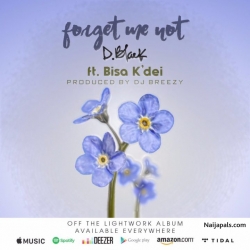 Forget Me Not by D-Black ft. Bisa Kdei (Prod. By DJ Breezy)