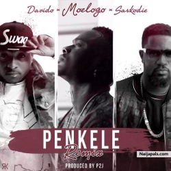 Penkele (Remix) by Moelogo ft. Davido & Sarkodie