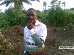 elvans ogbas