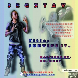 Survive it by Segxtay
