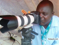 segun adepoju (galaxysnapp)