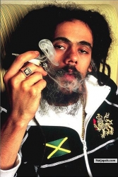 legalize it