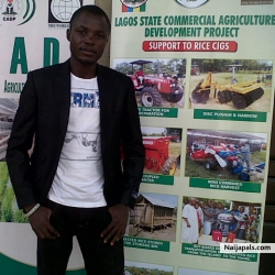 abiola suara