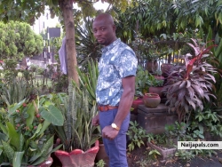 alagbe timothy  (simpletmt)