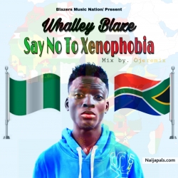 Say No To Xenophobia by Whalleyblaze