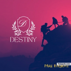 Destiny by Opeyemi Paul