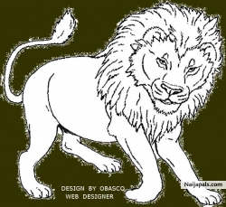 OBASCO WEB DESIGNERS  (wizyaceous)
