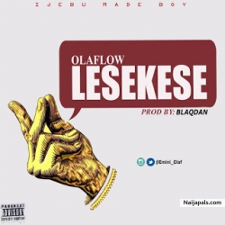 Lese Kese by Ola Flow