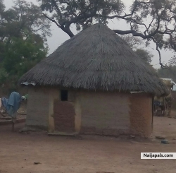 eyitayo abayomi (murano12345)