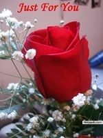 for ...u