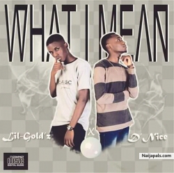 What I Mean by Lil-Gold'z Ft D'Nice
