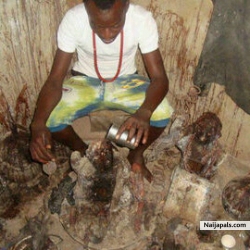 ajijolaogun ifatayeshe (ifatayeshe)