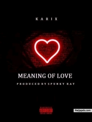 Meaning of love by Karix