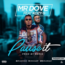 pause it by MR DOVE