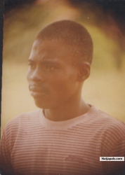 stanly willi