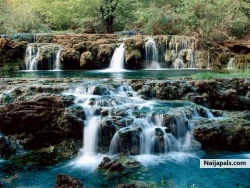 HAFSAT ONOGU