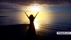 My Picture