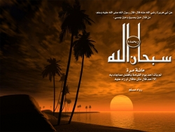 oh Allah,my Rabb i love you and your Nabi,muhammed(saw)