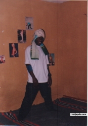 All hail timi